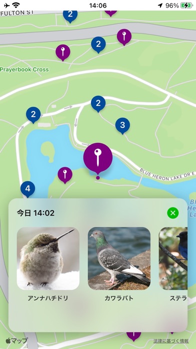 Ptashka: Bird Sonar紹介画像3