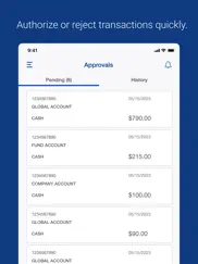 u.s. bank pivot ipad images 3