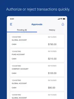 U.S. Bank Pivot iPad image 3