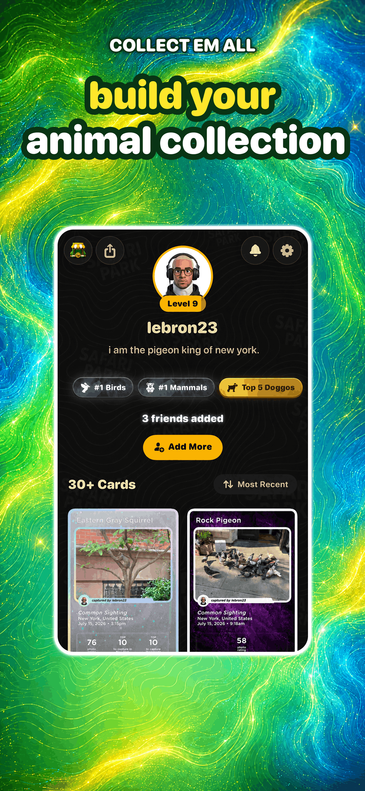 Safari Park: Catch Animals screenshot 4
