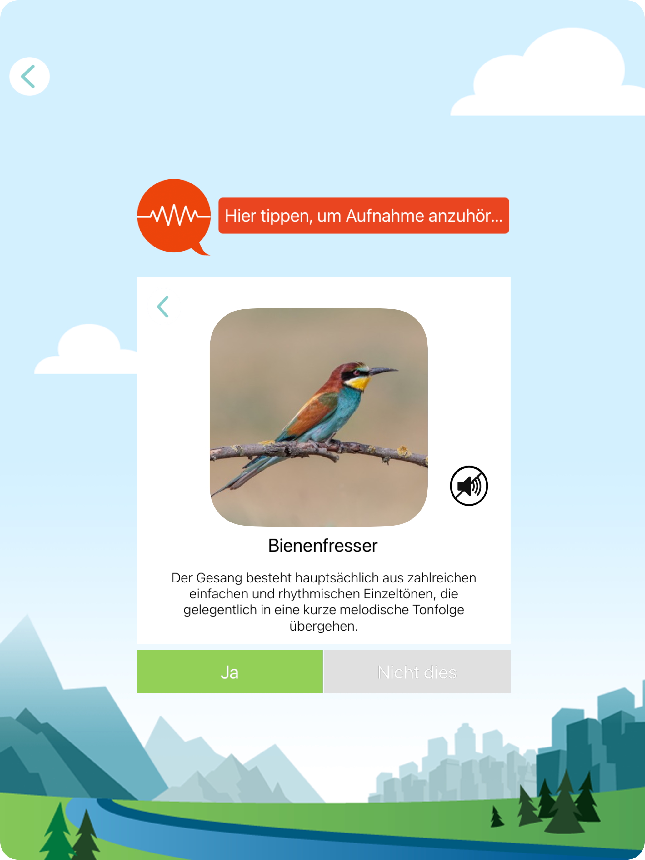Zwitschomat - Vogelerkennung