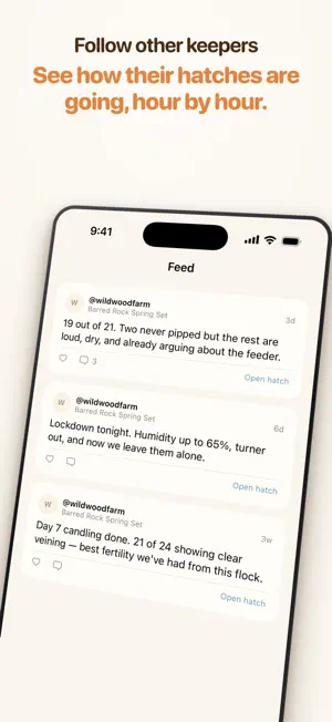 Hatch With Me: Incubation screenshot 3