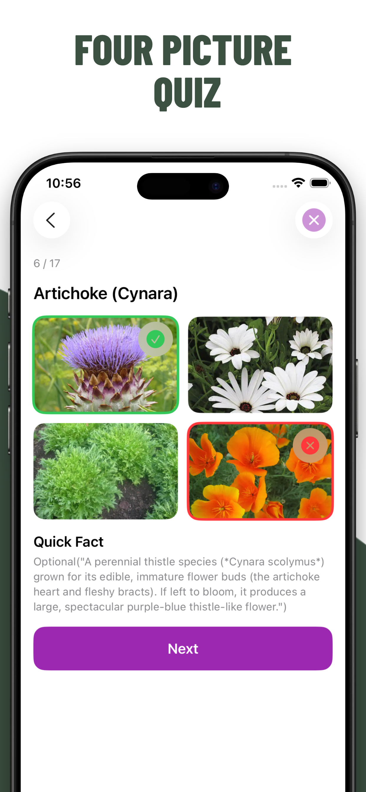 Flowers Quiz Identify Types screenshot 3