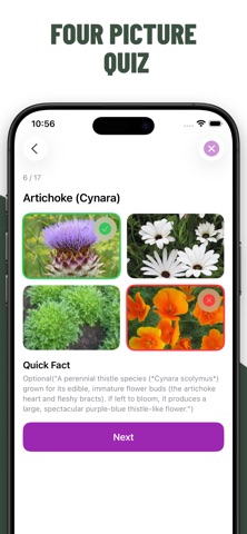 Flowers Quiz Identify Types screenshot