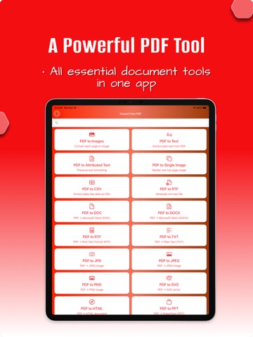 PDF Scan & Convert iPad screenshot