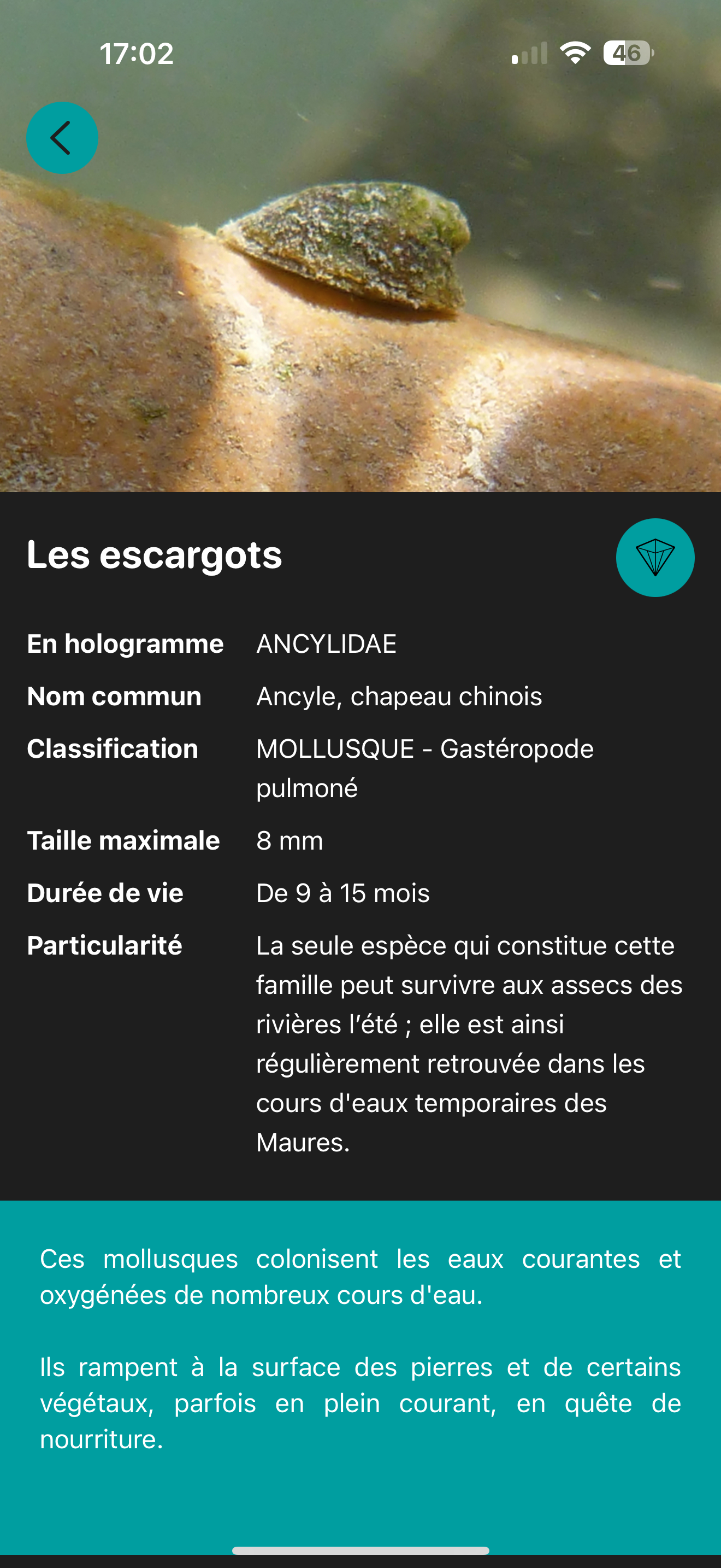 Holobios