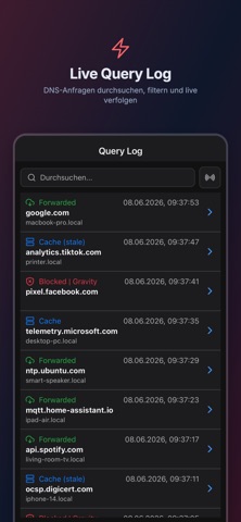 Pi-hole Companion screenshot