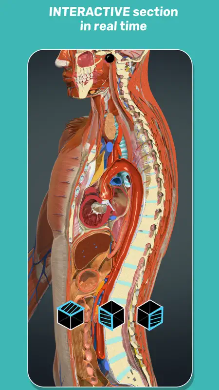 Anatomy Learning - 3D Atlas screenshot 5 of 7