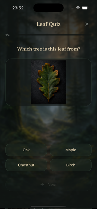 Forest Sign Screenshot 8 of 10
