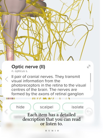 Humio: 3D Human Anatomy iPad screenshot