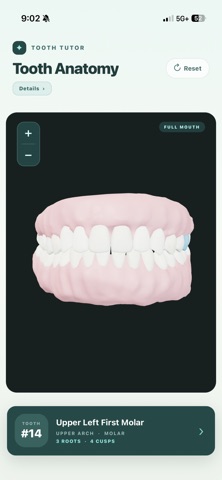ToothTutor Screenshot 4 of 4