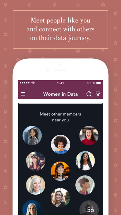 Women in Data Screenshot