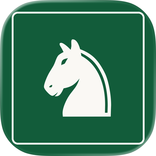 Chess Daily Puzzles