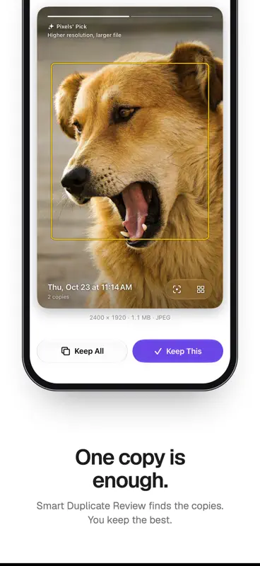 Pixels: Self-Hosted Photos screenshot 9 of 10