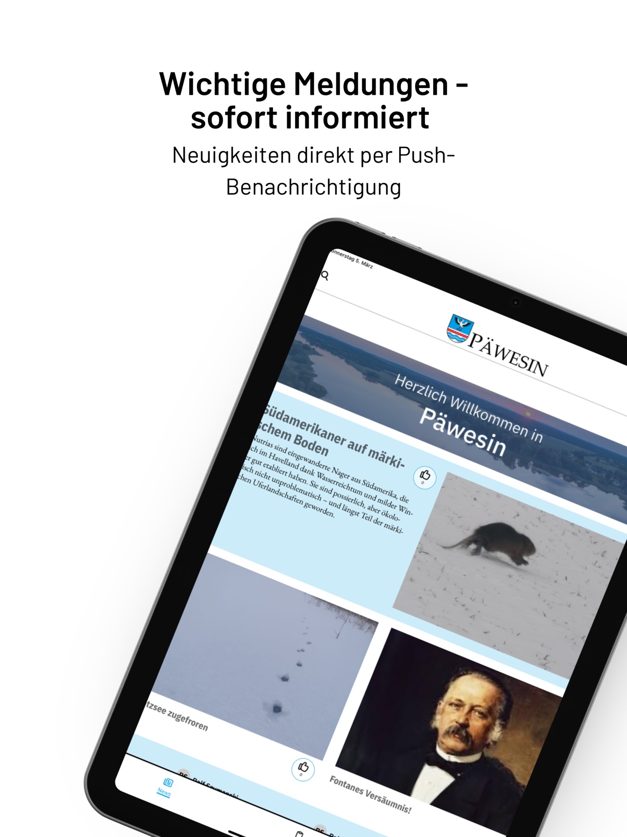 Screenshot 7 of Päwesin