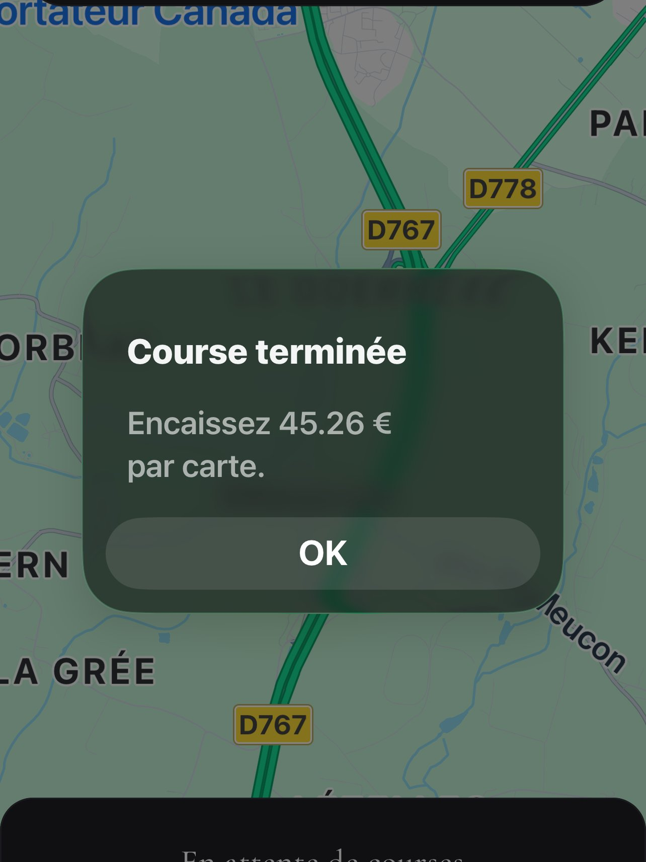 Hermine Cab Driver screenshot 17
