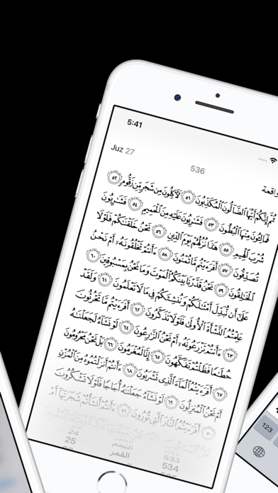 The Holy Quran | القرآن الكريم Screenshot