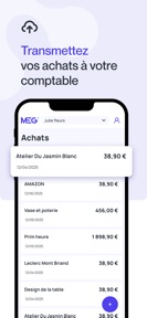 MEG - Mon Expert en Gestion screenshot