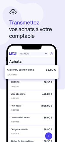 MEG - Mon Expert en Gestion screenshot