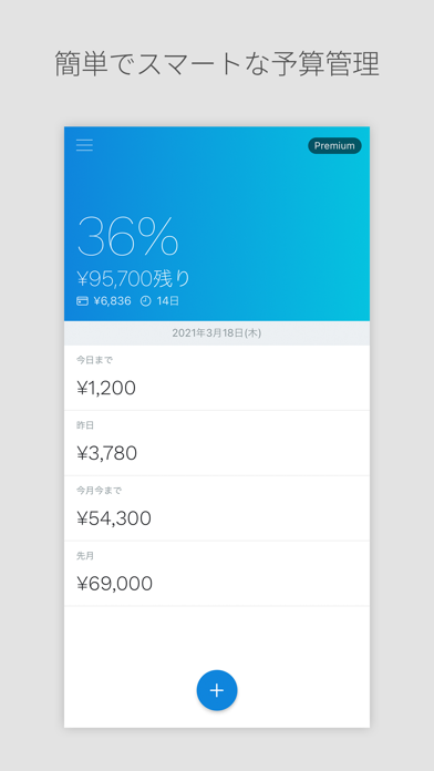 DAILY PAY - 予算管理家計簿スクリーンショット