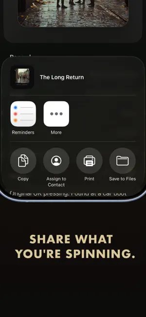 Vynelo: Vinyl Record Tracker screenshot 2