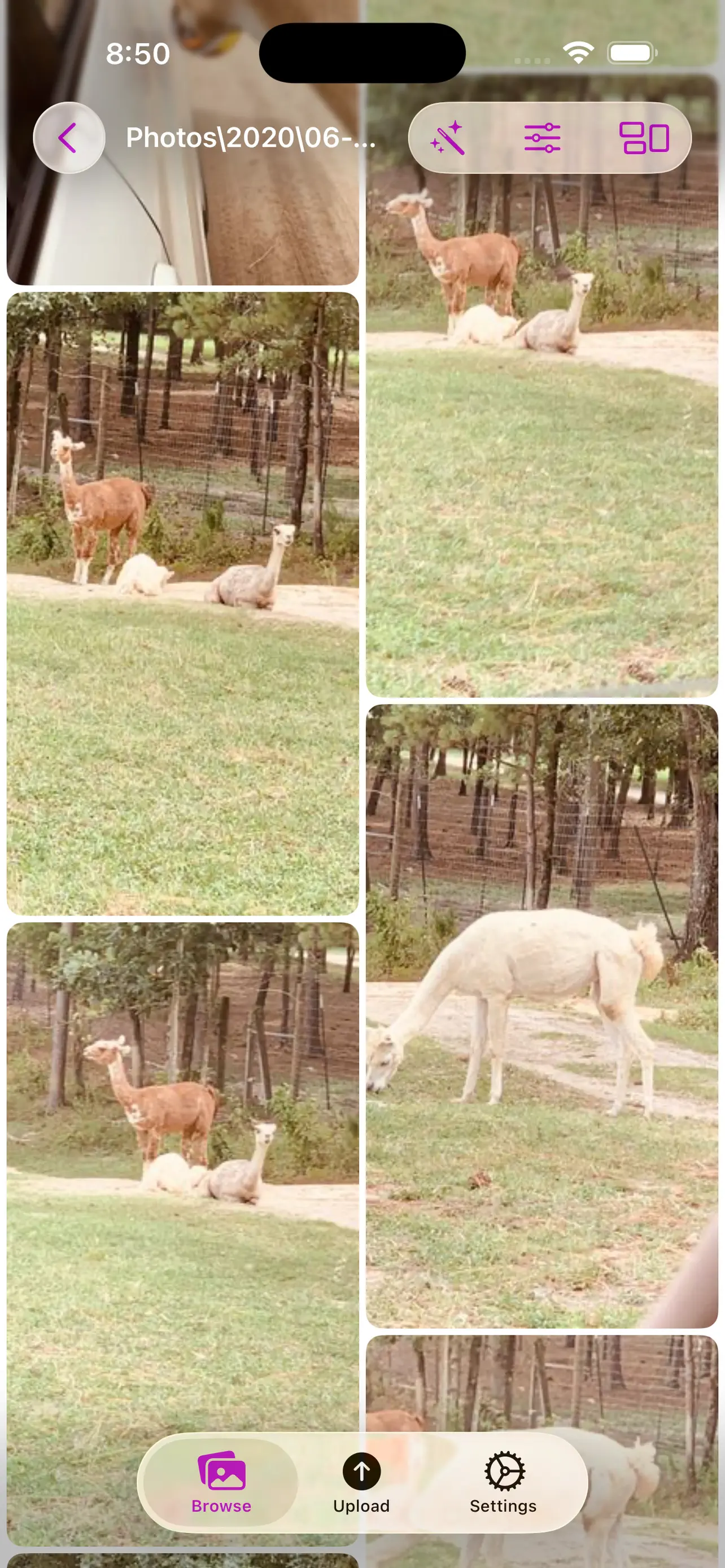 #8. Lumina Gallery (iOS) Podle: Saed Zakari