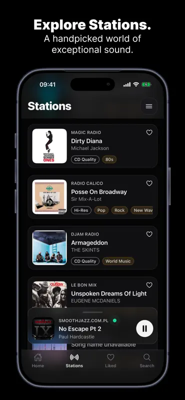 Audiophile.fm: HiFi Radio screenshot 5 of 6