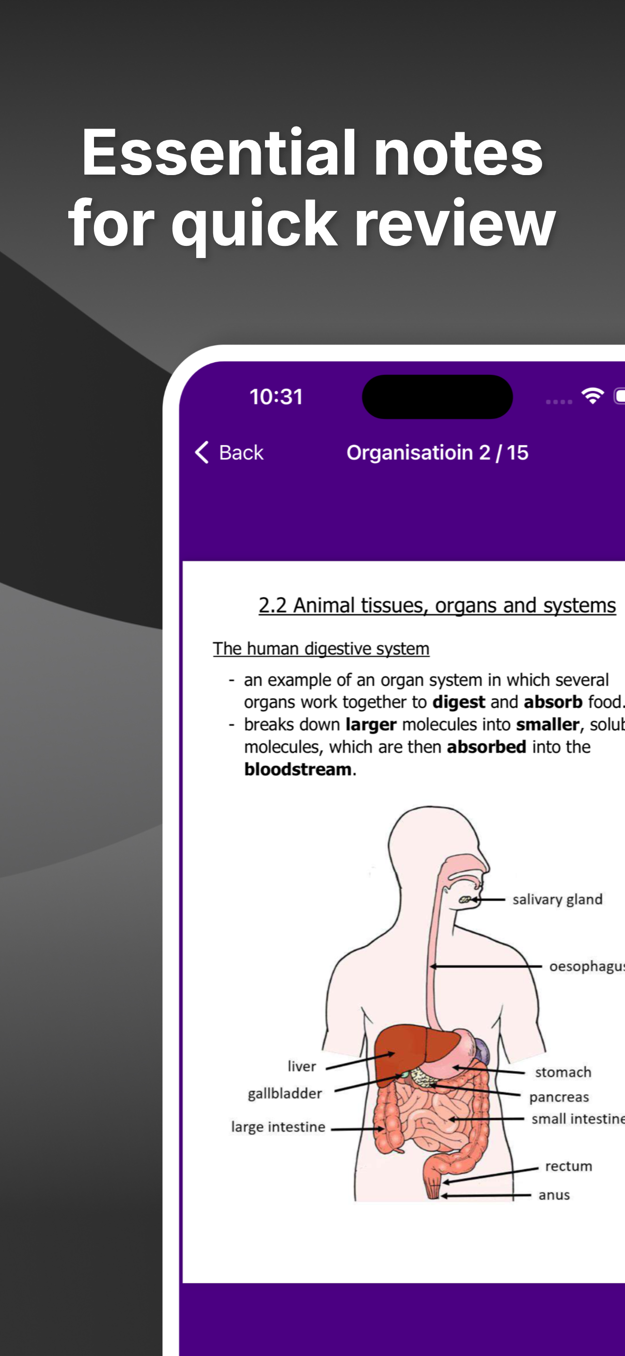 AQA GCSE Science Higher screenshot 7