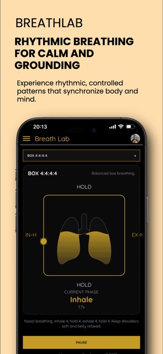 Frequency Healing: PEMF Pro Screenshot 6 of 9