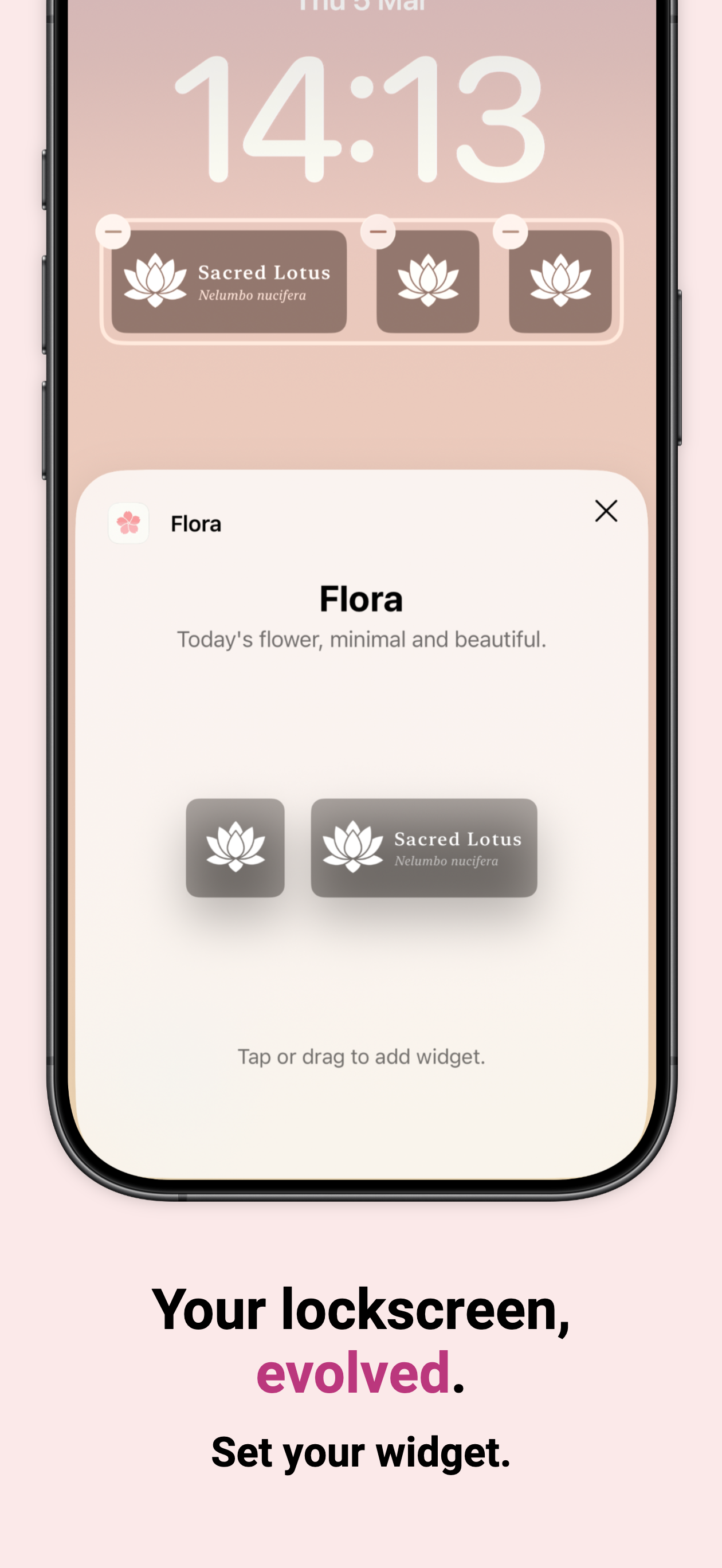 Flora - Flower of The Day