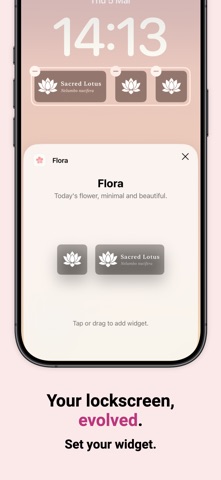 Flora - 每日一花 screenshot