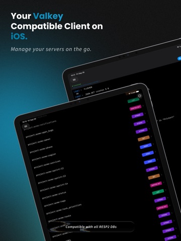 RDT: Database Client ipad screenshot 2