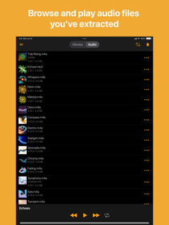 Export Audio screenshot 8