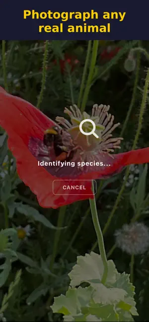 Animalis: Catch Real Animals screenshot 1