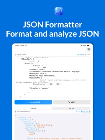 JSON Formatter Simple Parsing ipad screenshot 2