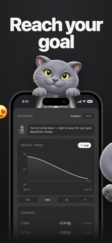 AI Calorie Tracker – Kairo Screenshot 6 of 7