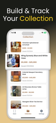 Antique Identifier Pro screenshot