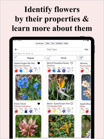 Flower Identification & Garden iPad screenshot
