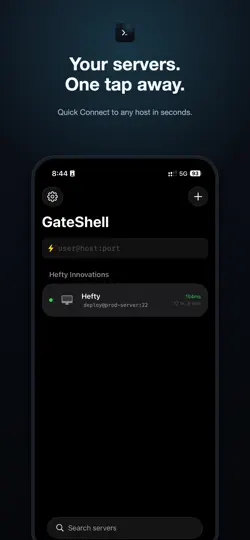 Скриншот GateShell на iPhone 1