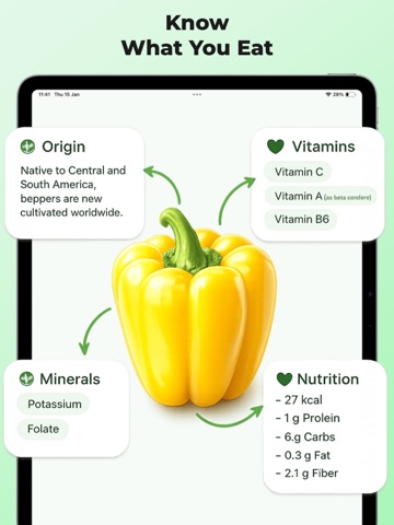 Vegetable Identifier: Scan AI iPad screenshot