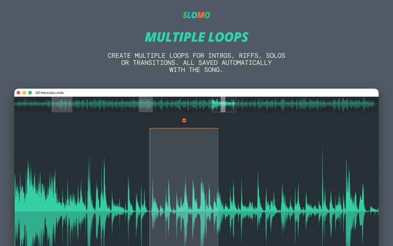 Screenshot #3 pour Slomo