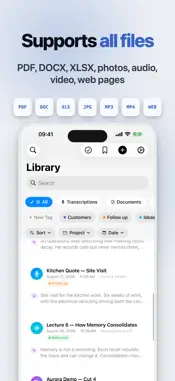 Lyonesse: AI Transcript & Chat screenshot 6