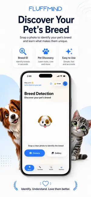 FluffMind screenshot 2