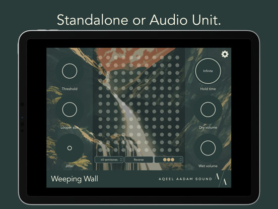 Screenshot #5 pour Weeping Wall