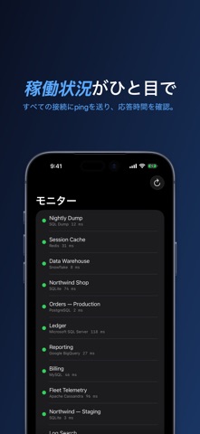Forge Database Manager のスクリーンショット