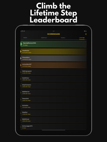 Steppr - Stepcounter Pedometer iPad screenshot