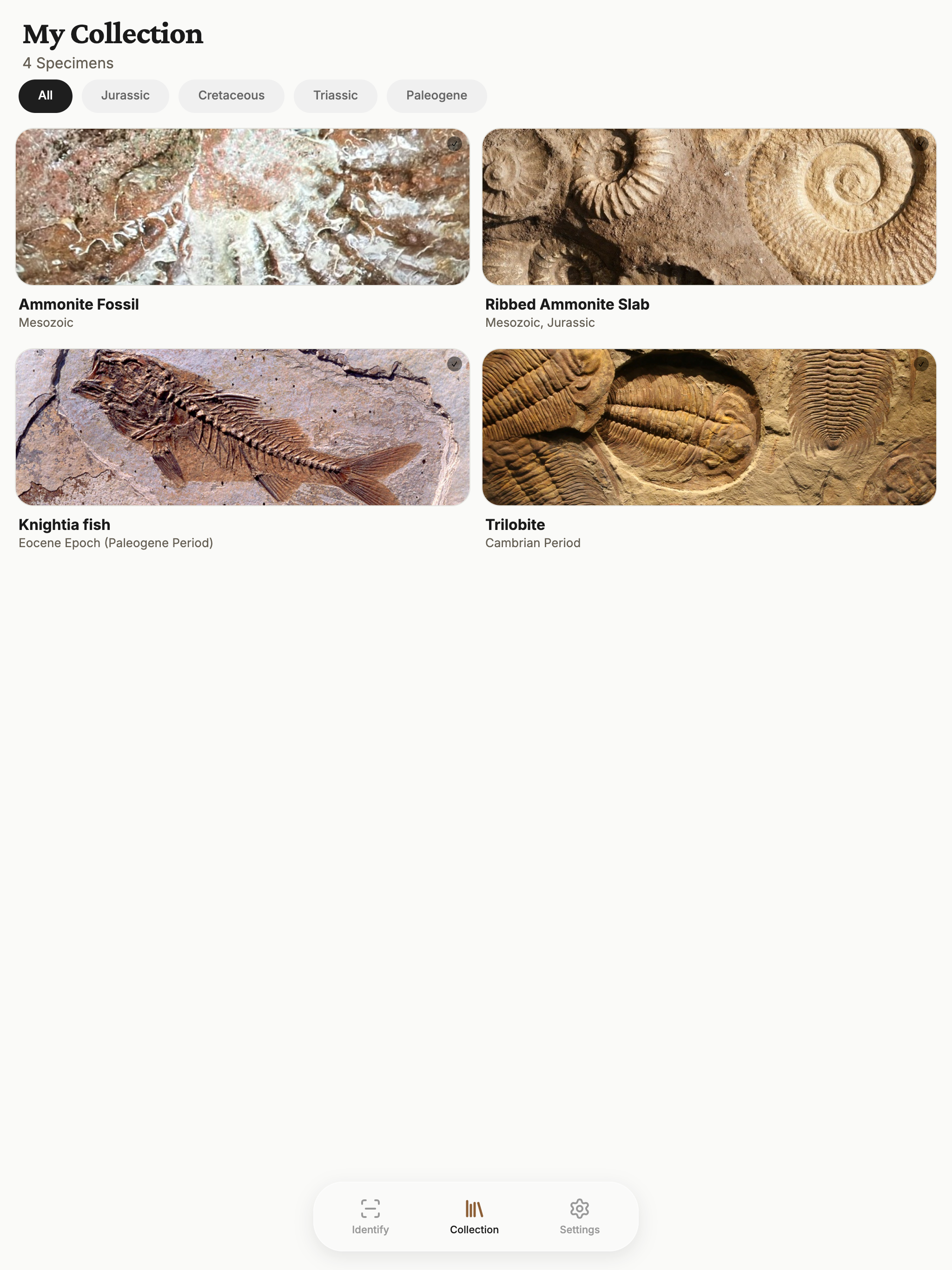 Fossil Identifier: Rock & Bone