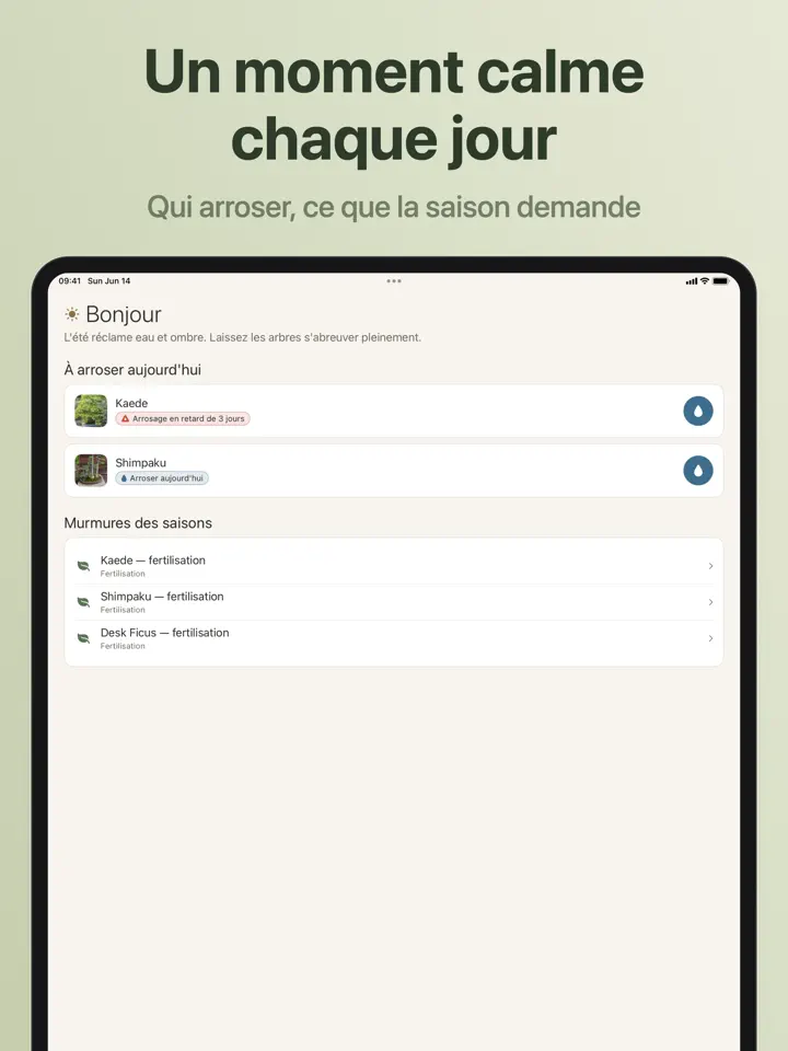 Bonsaiku sur iPad : capture d’écran 4 sur 7