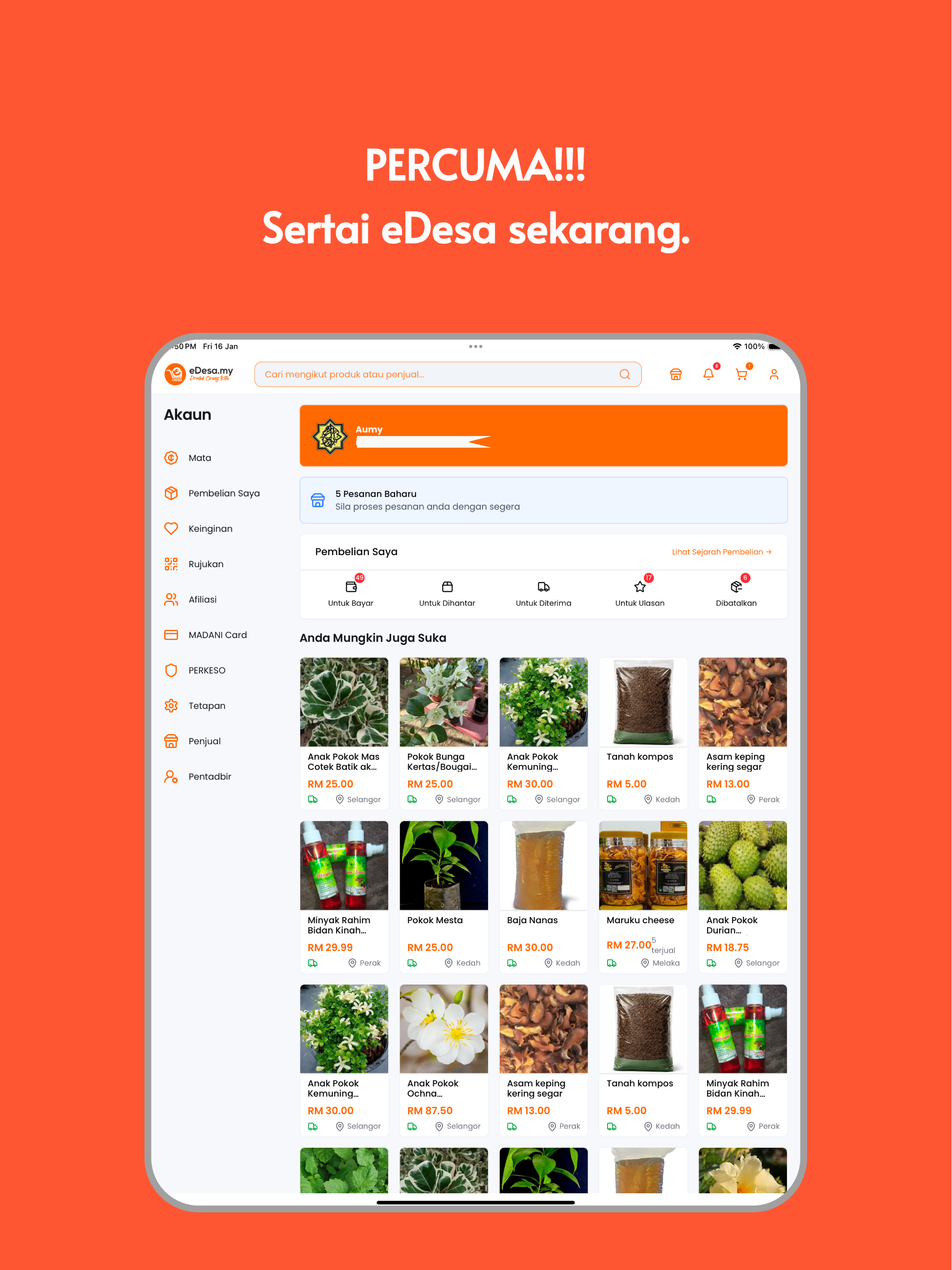 Edesa