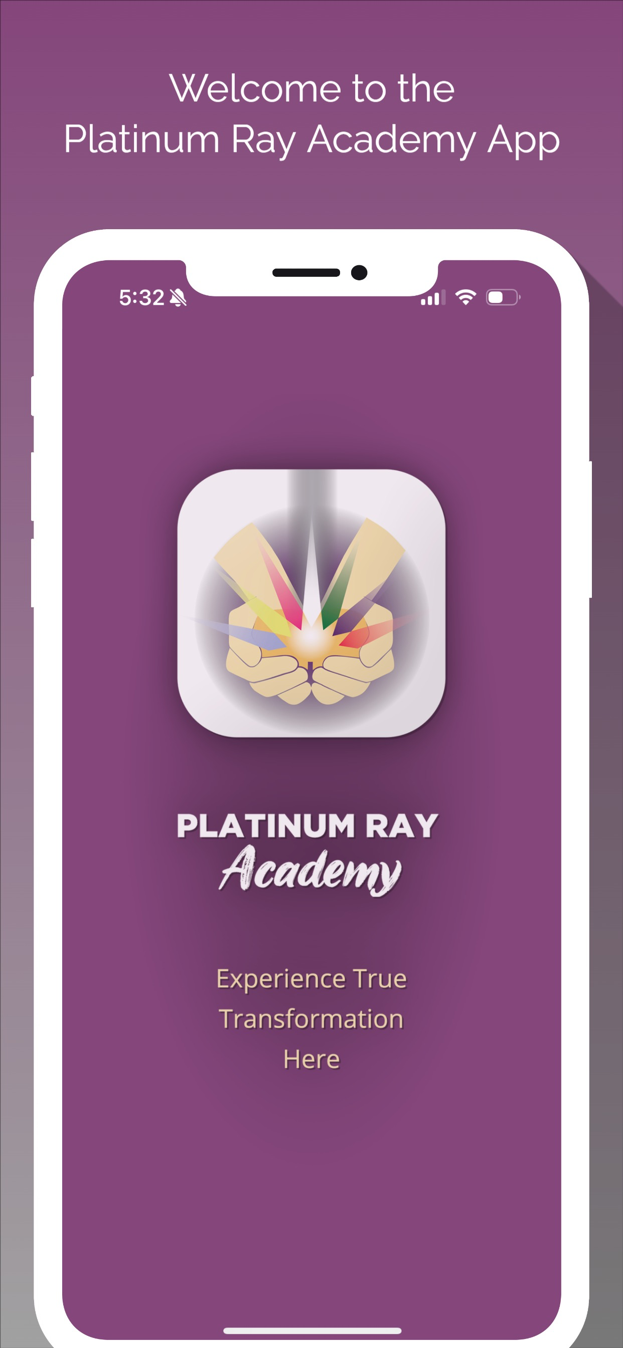 Platinum Ray Academy
